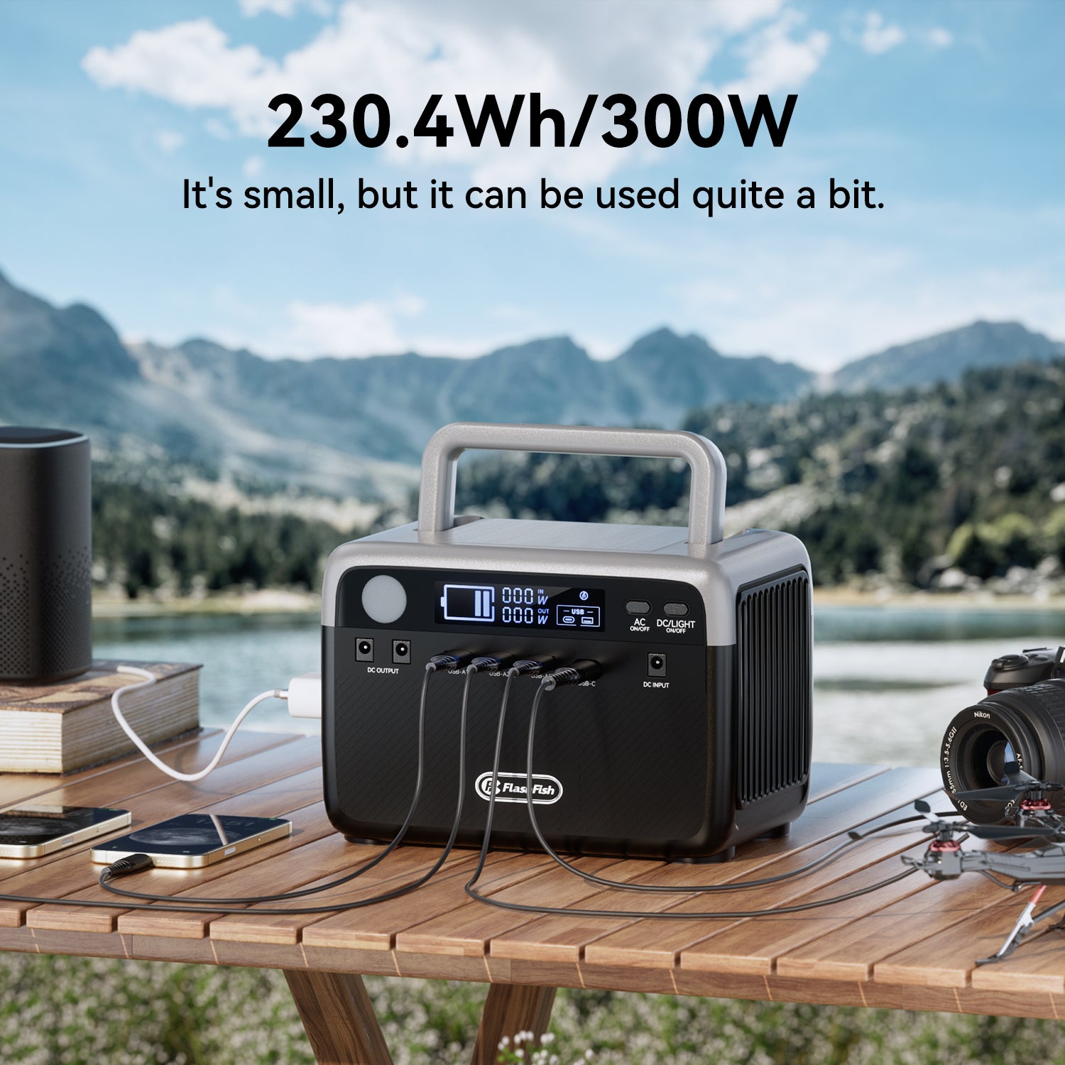 FlashFish BP030B 300W portable power station – Fengjiu New Energy