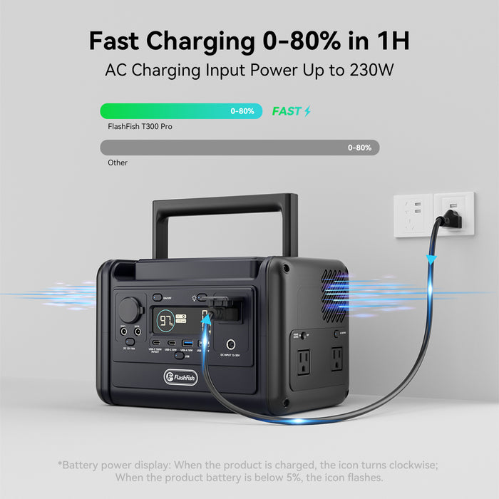 FlashFish T300pro 300W portable power station