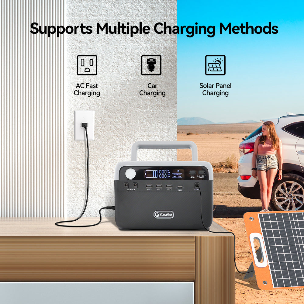 FlashFish BP030B 300W portable power station – Fengjiu New Energy