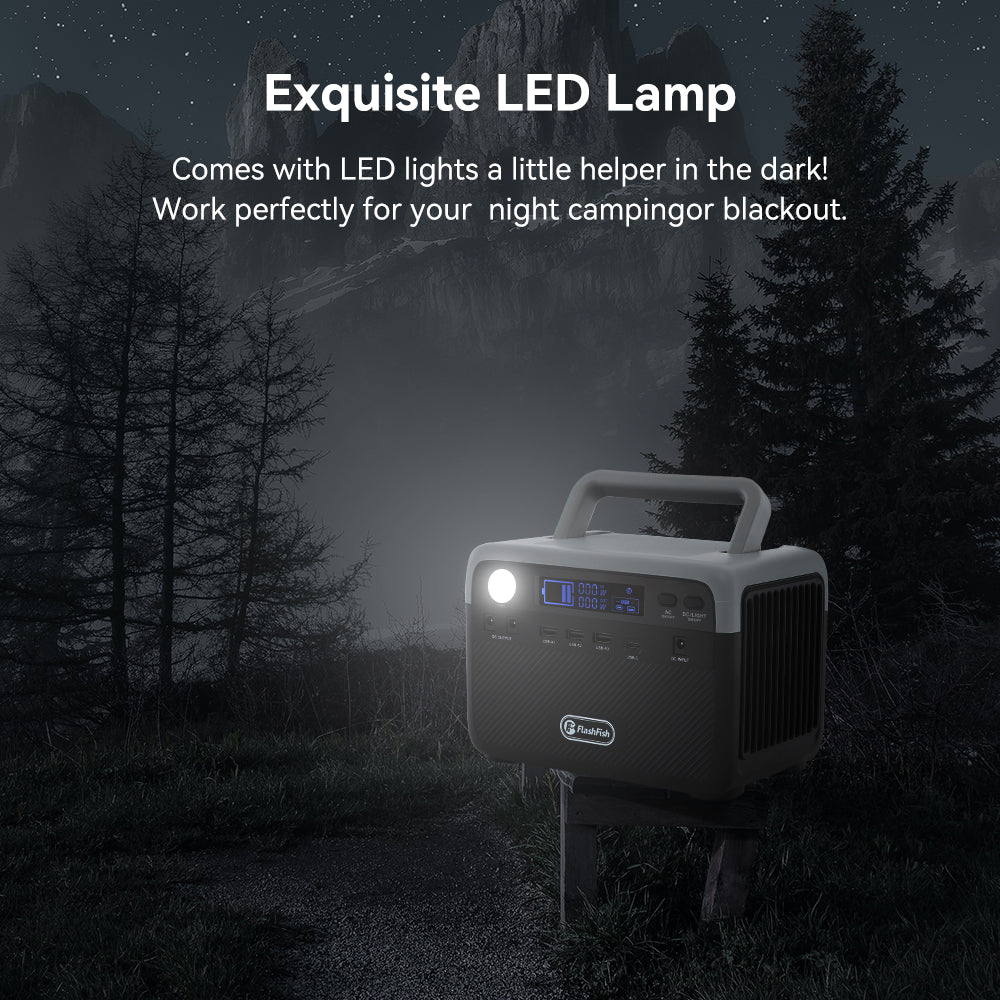 FlashFish BP030B 300W portable power station – Fengjiu New Energy